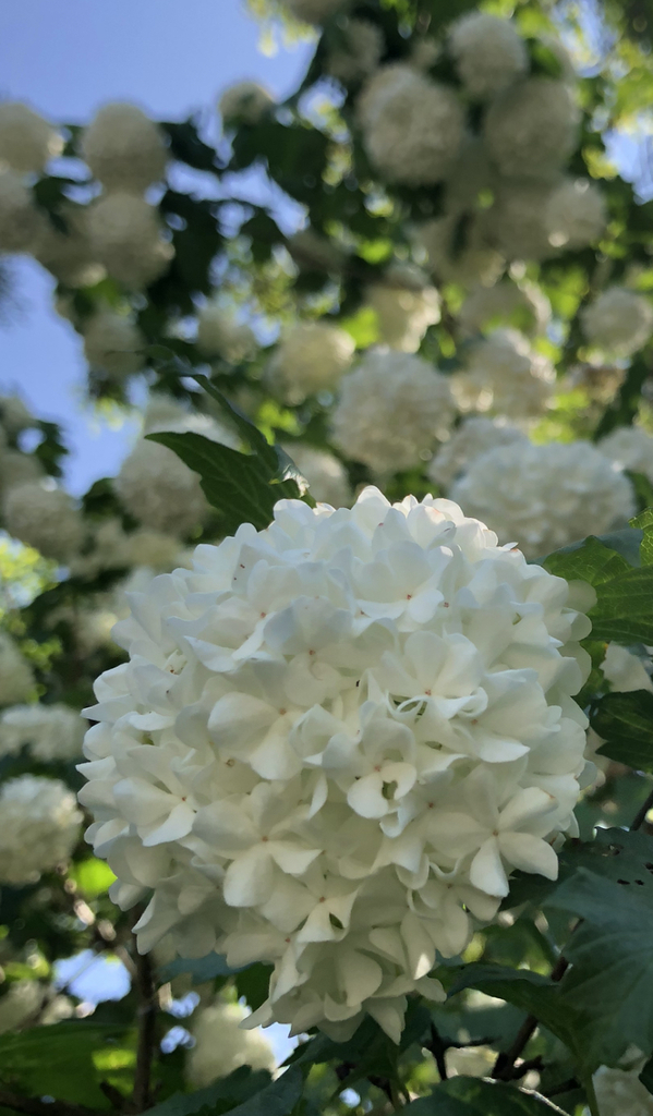Erfahrungsberichte über meine Arbeit: Stärken und Potentiale von Menschen erkennen und fördern.