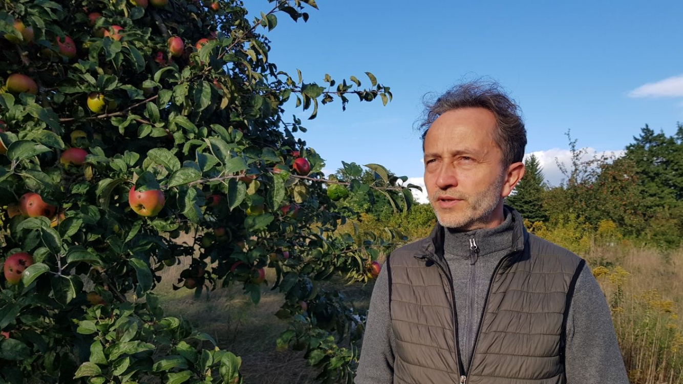 Stimmcoaching für Hochsensible online